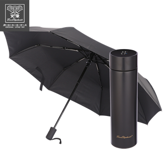 火象  SUS304不锈钢内胆保温水杯450ml+雨伞套装 阿西莫保温杯套装HXB-ZL101