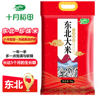 十月稻田 东北大米5kg 东北粳稻颗粒圆润饱满熟饭香糯可口 十月稻田 东北大米5kg 东北粳稻颗粒圆润饱满熟饭香糯可口