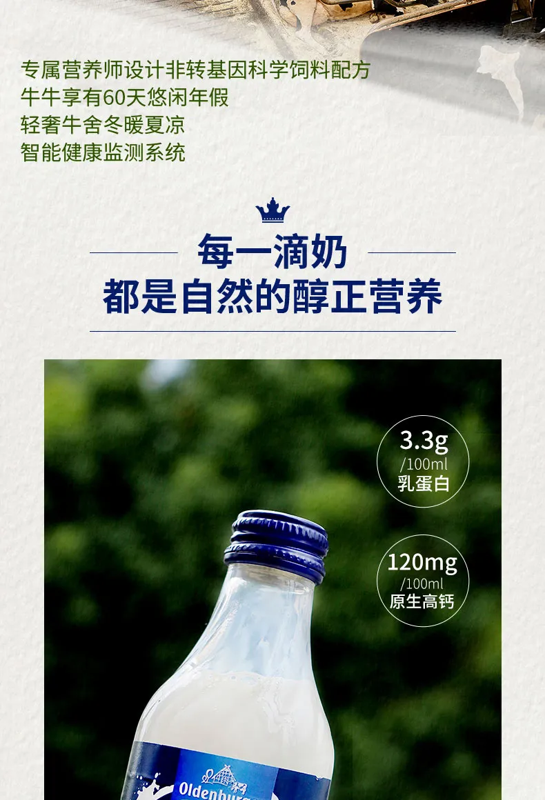 凤凰知音