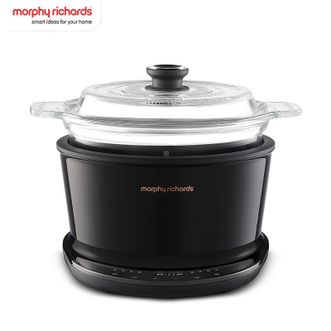 摩飞 /Morphy Richards  电炖锅多功能养生锅电火锅家用电炖盅煲汤锅炖汤盅炖汤锅煲粥煮粥锅