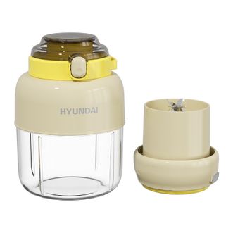 HYUNDAI  多功能便携果汁机800ml 小型榨汁机果蔬料理机搅拌机 RC-T01