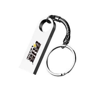 雷摄  U盘 LSUP1 USB2.0 银色 金属外壳 高速读写