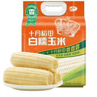 十月稻田  白糯玉米2.08kg（260g*8根) 东北甜黏玉米棒 早餐苞米