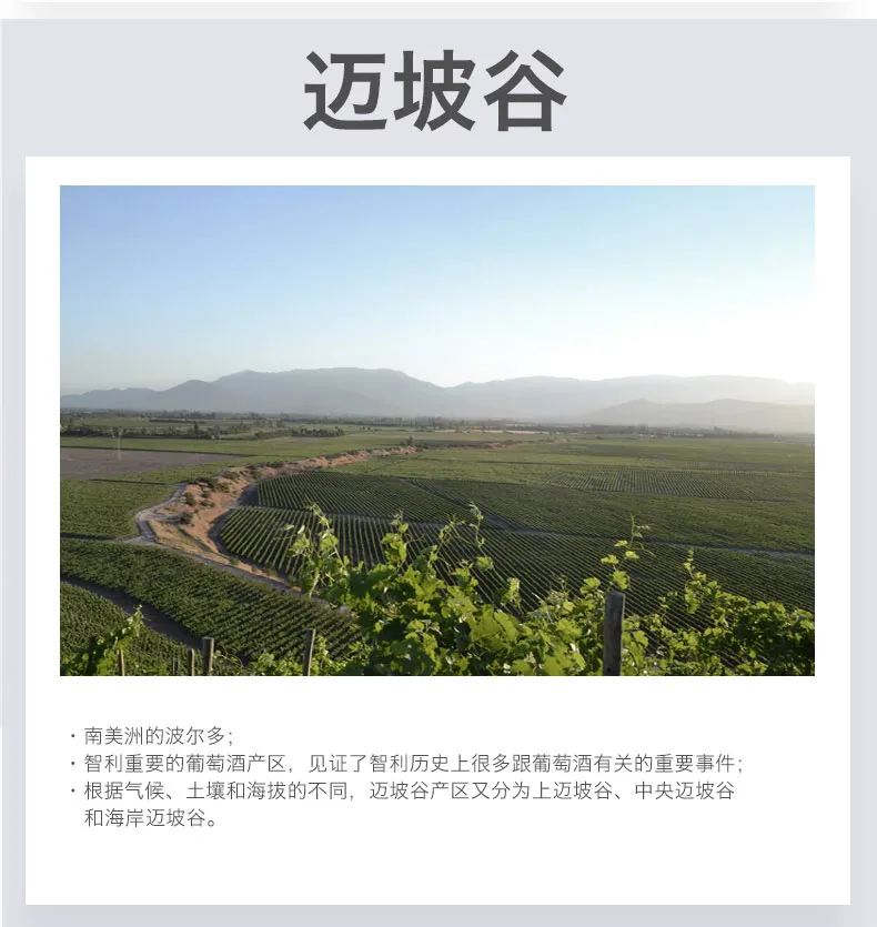 详情2.jpg