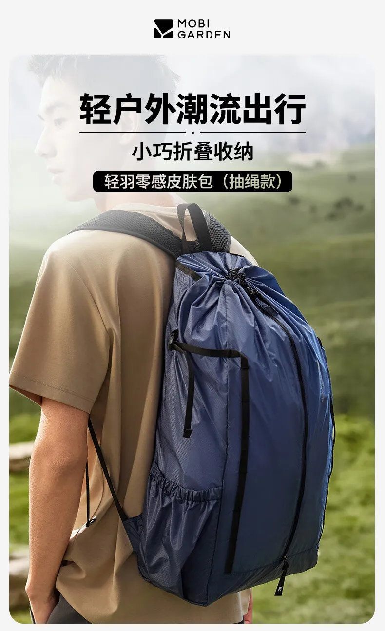 凤凰知音