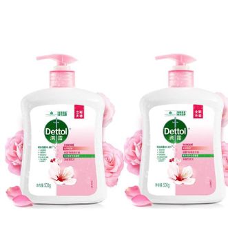 滴露/Dettol  洗手液滋润倍护500g*2瓶 有效抑菌99.9% 儿童宝宝健康洗手液泡泡 易冲洗 呵护全家