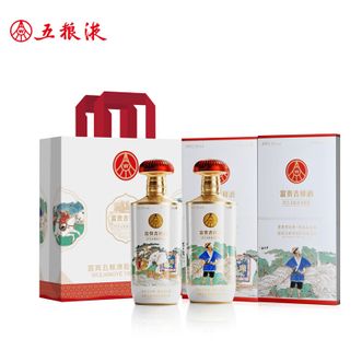 五粮液  富贵吉祥 智慧文化故事鉴赏 白酒52度500ml*2瓶装年货节礼物