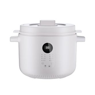 龙的/Longde  2.5L隔水柔炖多功能电炖盅LD-DG2535