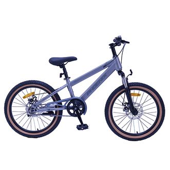 凤凰（Phoenix）  高碳钢机械双碟刹学生车山地自行车贝塔 TT-20plus （辐条轮）