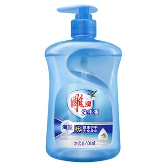 雕牌海盐清香洗手液家庭款500ml健康护手温和配方安全放心  