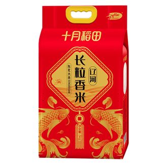十月稻田  当季新米辽河长粒香大米 5kg 东北大米 香米 粳米 十斤