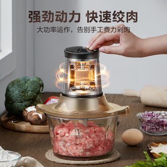 苏泊尔（SUPOR）  绞肉机家用 电动多功能料理搅拌机大容量馅婴儿辅食机 JR05-300