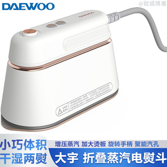 大宇  手持挂烫机家用蒸汽电熨斗熨衣机旅游出差便携式小型除菌除螨熨斗白色