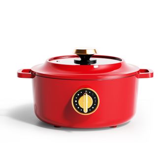 德博莱  电煮锅DBL-CYDZG001家用电炖锅