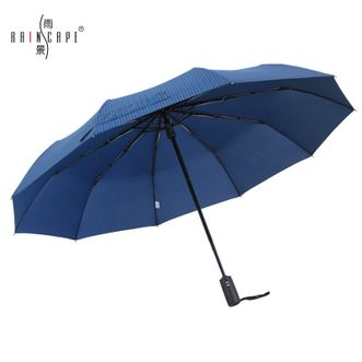 雨景/rainscape 自动超大商务伞 条纹学生双人伞 加固大号晴雨伞 两用高端伞