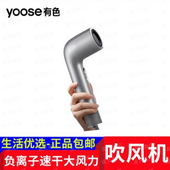 有色（yoose）  高速护发吹风机家用大风力速干负离子护发电吹风筒 国家补贴 送女生送老婆圣诞节礼物 S2 银色