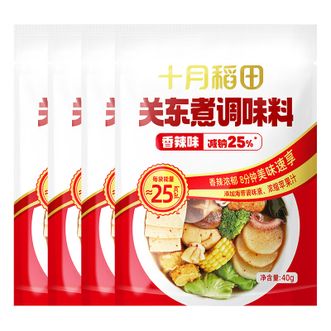 十月稻田  东煮调味料 汤料 香辣味*40g*4袋