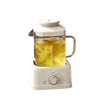 海牌（HAIPAI ）  轻食润养迷你小炖杯