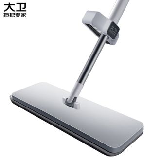 大卫  免手洗平板拖把 P10 高品质加厚拖布塑料面板 一拖净懒人拖把 吸水拖地神器拖布 墩布（带2块拖布）