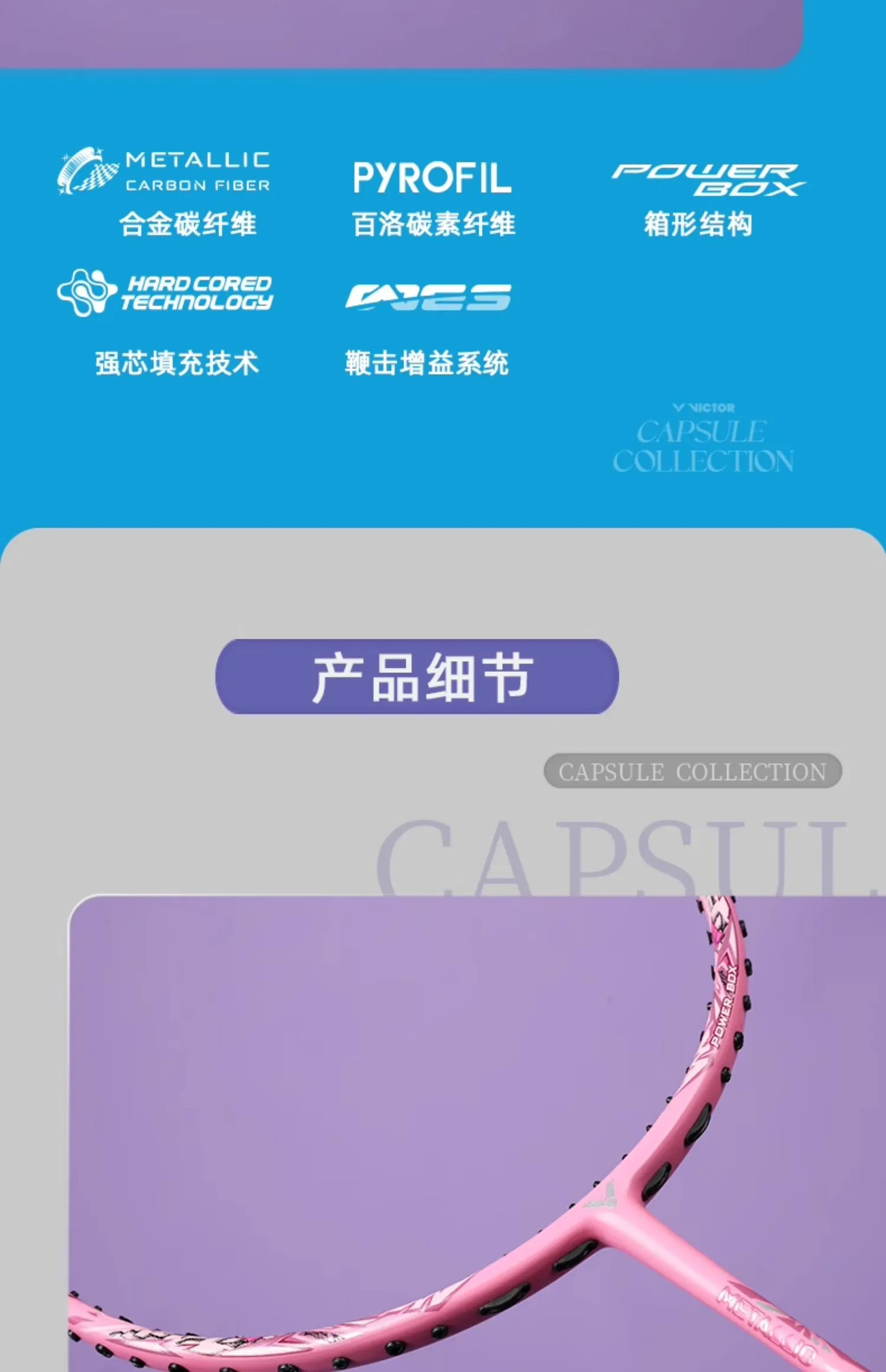 凤凰知音