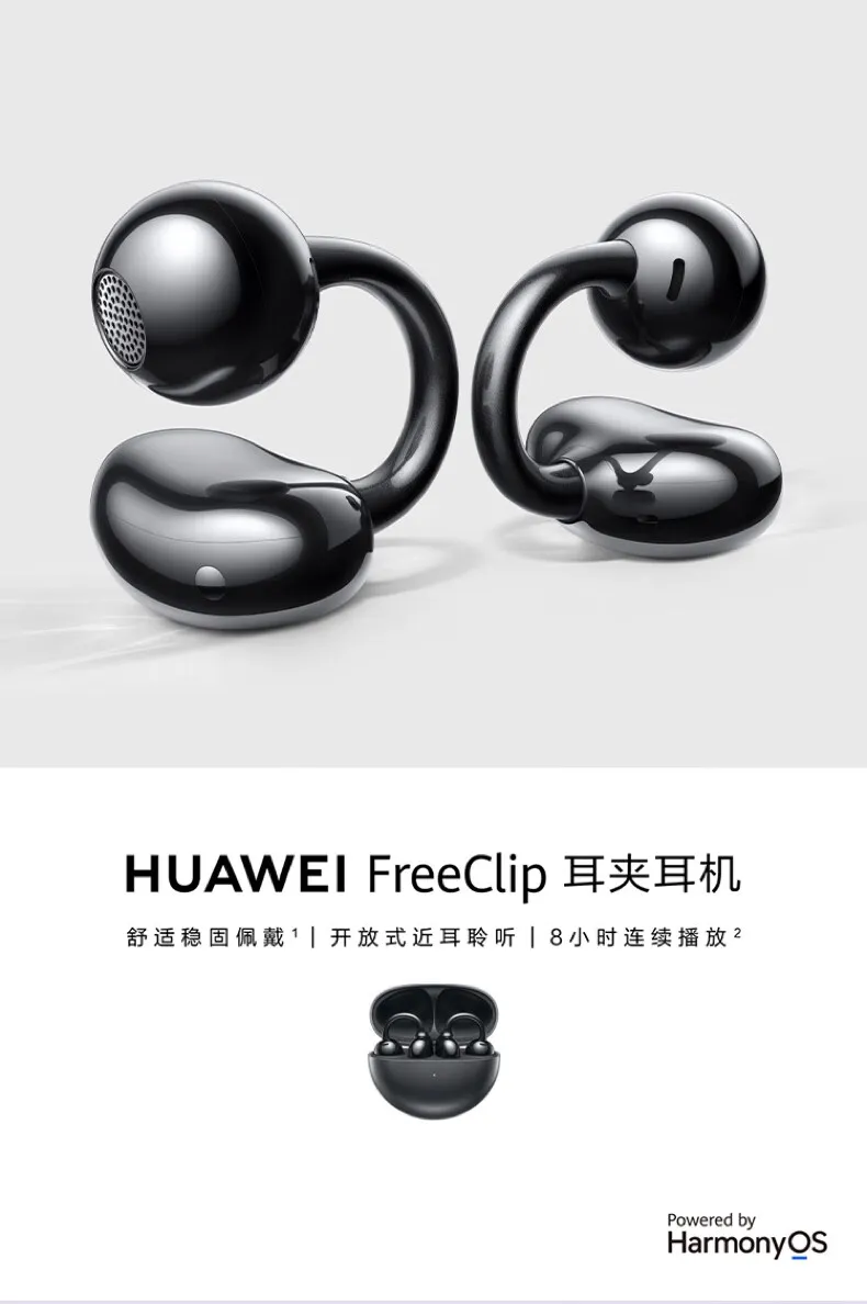 凤凰知音