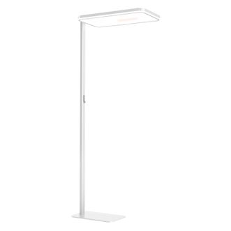 孩视宝  全光谱立式护眼大路灯儿童学生学习专用灯书房阅读落地台灯E7-250W-R