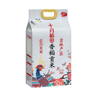 十月稻田  香稻贡米5kg  东北大米 当季新米