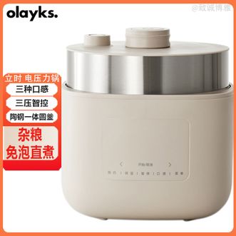 olayks.  多功能电压力锅4L大容量家用电高压锅快速煮饭杂粮免泡直煮三压智控 单胆