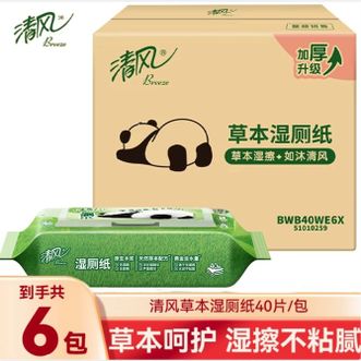 清风  熊猫草本湿厕纸40片私处专用厕所擦屁屁湿厕巾 40片*6包