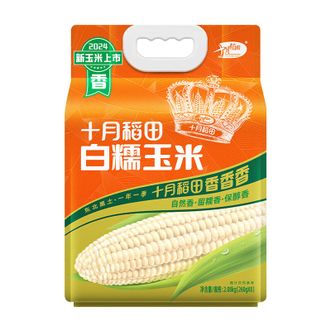 十月稻田  白甜糯玉米4.16斤（260g*8穗）开袋即食
