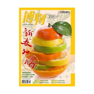 中国国家地理  博物杂志2025年02期 【柑橘】