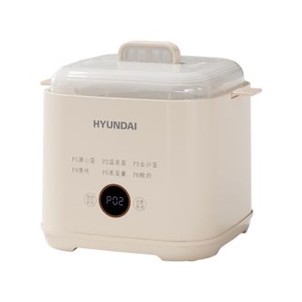 HYUNDAI  煮蛋器家用迷你蒸蛋器智能预约定时小型多功能煮鸡蛋机 NE-250A