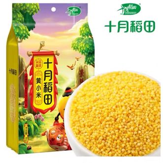 十月稻田  黄小米 2斤 养胃早餐煮粥 五谷杂粮 低脂粗粮 米油醇厚多种包装随机发货