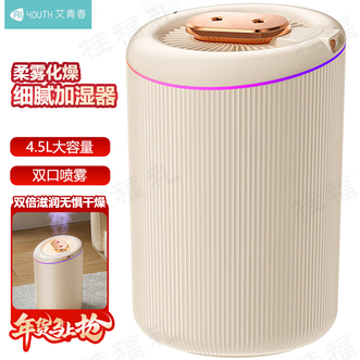 艾青春（AIYOUTH）  加湿器 办公室加湿器家用小型桌面净化大雾量空气喷雾机加湿器
