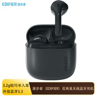 漫步者  真无线蓝牙耳机游戏低延时音乐半入耳式通话降噪IP54级防尘防水持久续航 暮灰