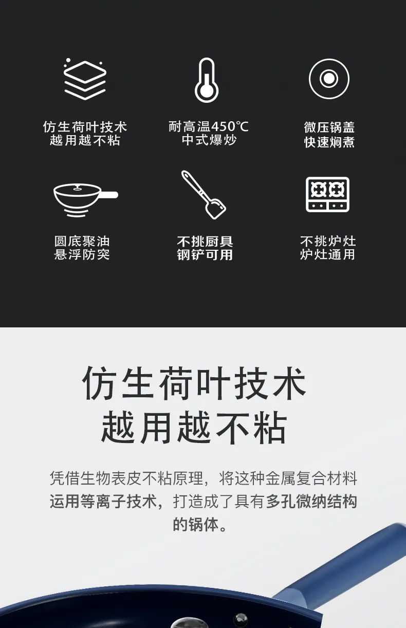 凤凰知音