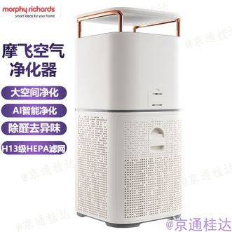 摩飞 /Morphy Richards  空气净化器 除甲醛家用客厅卧室专用 M-R3200标配款