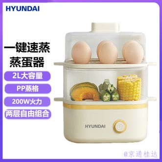 HYUNDAI  家用早餐煮蛋器 蒸蛋器 双层早餐机蒸玉米蒸红薯锅煮蛋机一机多能2L大容量