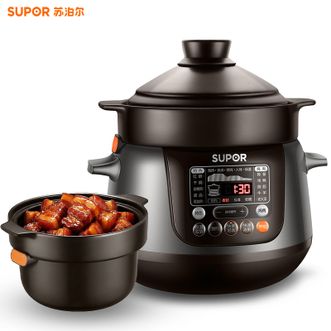 苏泊尔（SUPOR）  电炖锅5升家用电炖煲汤精控快炖炖汤养生煮粥锅智能预约多种菜单功能电煮锅电锅