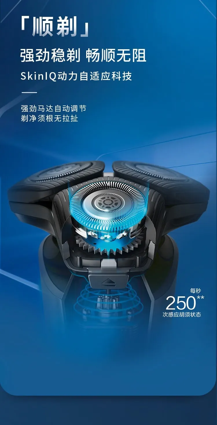 凤凰知音