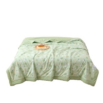 好眠好梦  全棉印花夏凉被 欧若琳 150*200cm SX-5R1535