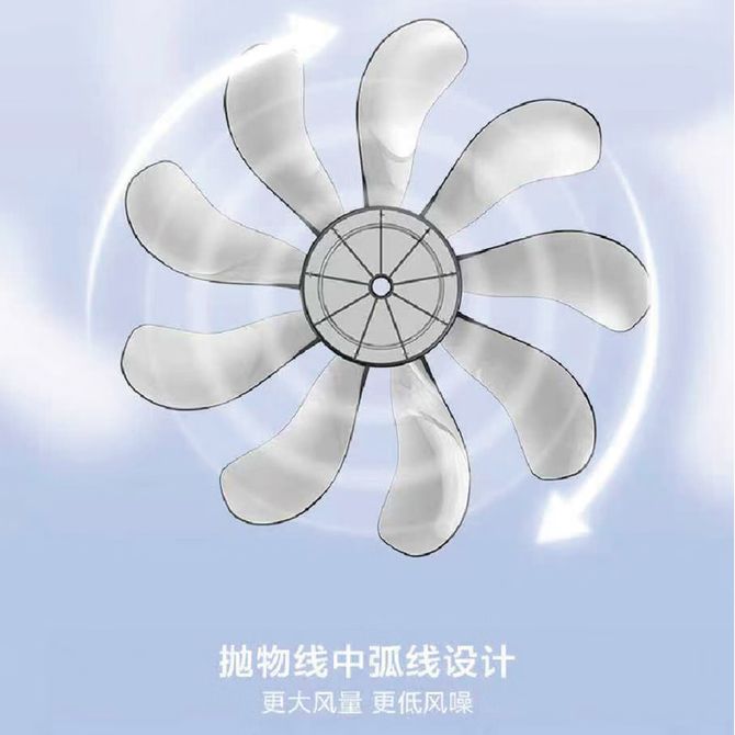 凤凰知音