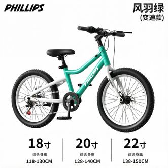 菲利普（PHILLIPS）  儿童自行车男女孩童车辐条轮变速22寸山地车