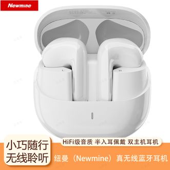 纽曼（Newmine）  真无线蓝牙耳机HiFi级音质半入耳式超长待机续航跑步运动耳机 LY67白色