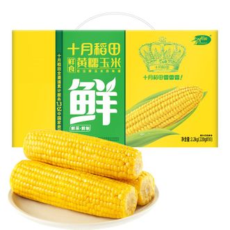 十月稻田  鲜食玉米2.2kg黄糯玉米