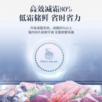 澳柯玛/Aucma  冰柜300升BC/BD-300NEM