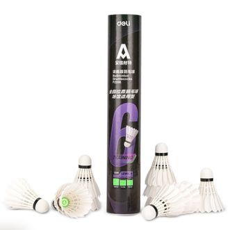 得力（deli）  安格耐特系列耐打稳定比赛训练全圆拉直鹅毛羽毛球 F2206(12个/筒)