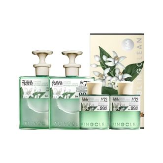 亮晶晶  内衣内裤专用洗衣液 HPV抑菌内衣洗衣液 (260g*2瓶+100g*2瓶)
