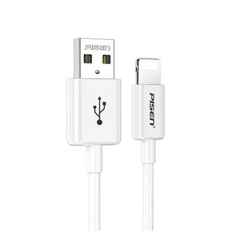 品胜（PISEN） 数据线 苹果手机充电线器USB接口 1米 