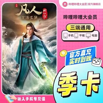哔哩哔哩  B站VIP大会员 三个月